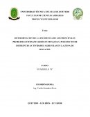 DETERMINACION DE LA INCIDENCIA DE LOS PRINCIPALES PROBLEMAS FITOSANITARIOS EN MUSACEAS POR EFECTO DE DIFERENTES ACTIVIDADES AGRICOLAS EN LA ZONA DE MOCACHE