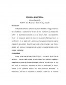 PERFIL DE TRES MONARCAS.RESEÑA