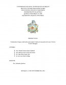 QUÍMICA INDUSTRIAL III AÑO SEGURIDAD E HIGIENE INDUSTRIAL