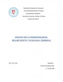ENSAYO DE LA PERSONALIDAD, DELINCUENTE Y ECOLOGIA CRIMINAL