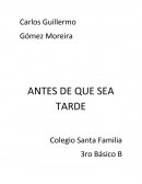 Antes que sea tarde