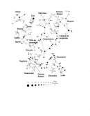 Constelaciones y su historia