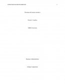 Estructura de un ensayo narrativo