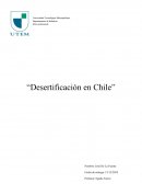 Desertificacion en chile