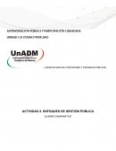 Enfoques de Gestión Pública