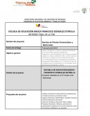 Siembra de Plantas Ornamentales y Medicinales