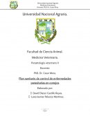 Plan sanitario de control de enfermedades parasitarias en conejos