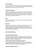 PLAN ESTRATEGICO. ENTORNO EXTERNO