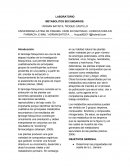 LABORATORIO METABOLITOS SECUNDARIOS