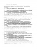 CONTENIDO PARA ESTUDIO HIDROLÓGICO
