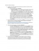 Blockchain (cadena de bloques)