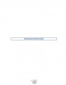 Materiales refractarios - tecnología de los materiales