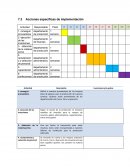 Acciones especificas de implementacion