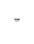 Herramientas para la gestión ambiental empresarial. Producción limpia
