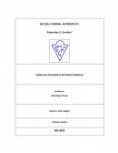 Campo de la Formación en la Práctica Profesional