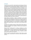 Conclusion sistema de contabilidad