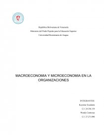 MACROECONOMIA Y MICROECONOMIA EN LA ORGANIZACIONES. Página 1