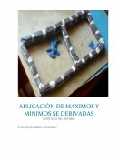 APLICACIÓN DE MAXIMOS Y MINIMOS DE DERIVADAS