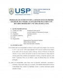 PROGRAMA DE INTERVENCIÓN A ADOLESCENTE DE PRIMER GRADO DE SECUNDARIA ACEPTADO POR INCLUSIÓN CON RETARDO MODERADO Y VÍCTIMA DE BULLYING