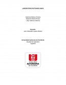 LABORATORIO RUTEANDO ANDO