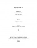 RESOLUCION 1111 DEL 2017