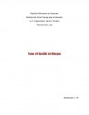 Cambio climatico. Tema #9 Gestión de Riesgos