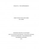 TECNOLOGIA EMPRESARIAL- VISION EMPRENDEDORA