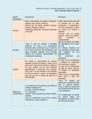 Agente socializador Descripción Influencia