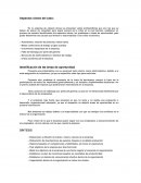 Aportacion empresa Shoes