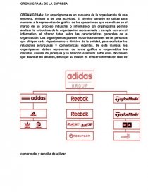 Analisis empresa ADIDAS - Informes - Mauricio