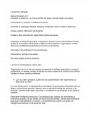 Leccion de Liderazgo Ensayo