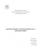 MACROECONOMIA Y MICROECONOMIA EN LA ORGANIZACIONES