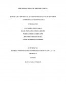 Actividad no 2 Posibles soluciones del informe diagnostico Caso Lap SAS