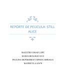 REPORTE DE PELICULA: STILL ALICE