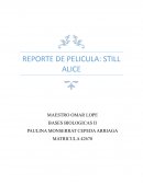 REPORTE DE PELICULA: STILL ALICE