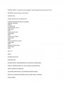 ANÁLISIS ORGANIZACIONAL DE LAS ACTIVIDADES OPERACIONALES