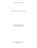 Software libre: Informática al alcance de todos