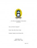 CULTURA ALTOANDINA Y REALIDAD NACIONAL Tema: ¿Evolución o desgracia?