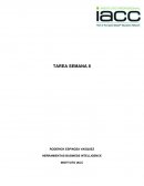 HERRAMIENTAS DE BUSINESS INTELLIGENCE PROYECTO FINAL