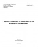 Impactos y mitigación de los drenajes ácidos de mina producidos en minería del carbón