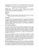 REHABILITACIÓN COGNITIVA EN EL TRATAMIENTO DE LAS ADICCIONES