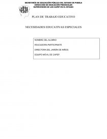 PLAN DE TRABAJO EDUCATIVO NECESIDADES EDUCATIVAS ESPECIALES. Página 1