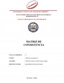 MATRIZ DE CONSISTENCIA