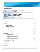 Inteligencia de mercados Café Sheik