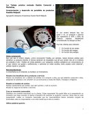 Caracterización y desarrollo de portafolio de productos Pueblito Melipulli