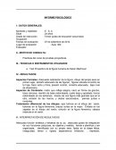 INFORME FIGURA HUMANA