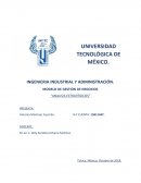 MODELO DE GESTIÓN DE NEGOCIOS “ANALISIS ESTRATÉGICOS”