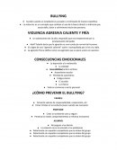 BULLYING. VIOLENCIA AGRESIVA CALIENTE Y FRÍA