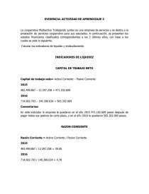 CALCULO INDICADORES FINANCIEROS. Página 1