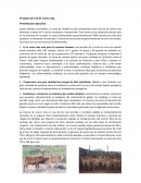 Proyecto de cría de ciervo rojo